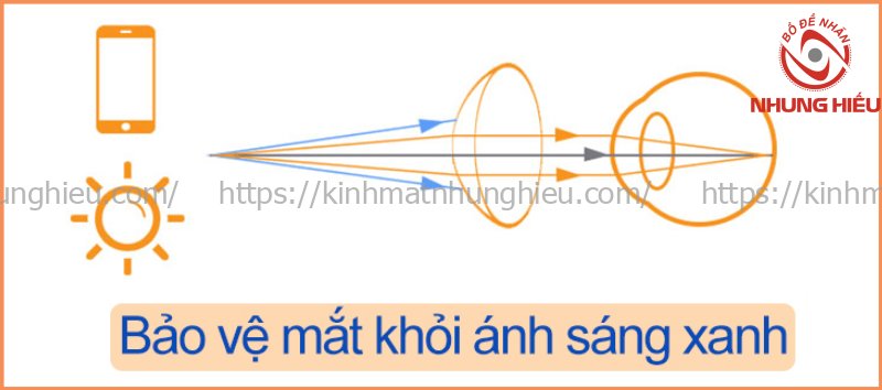 giá các loại tròng kính cận giá các loại tròng kính cận