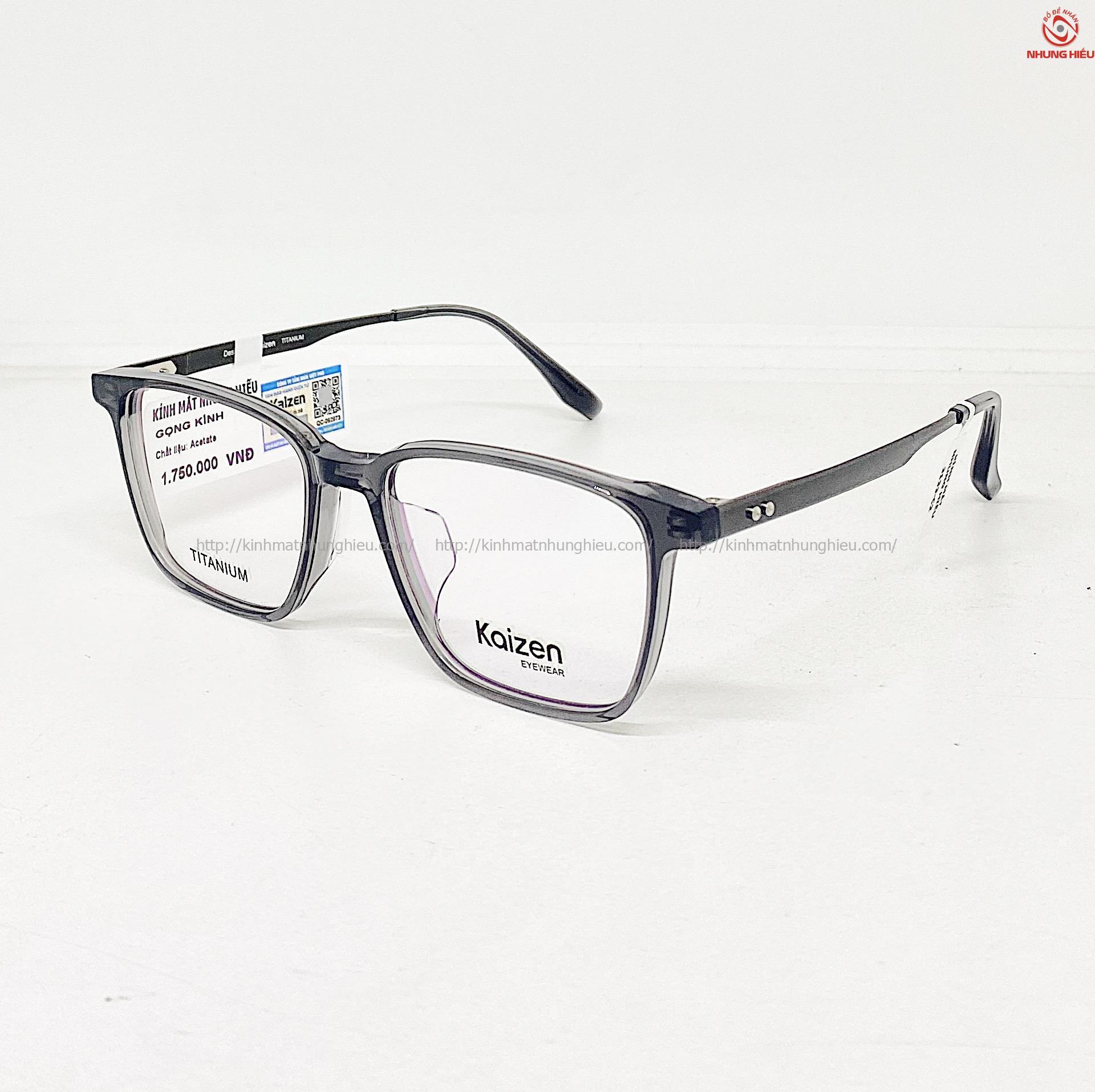 GỌNG TITAN 3133