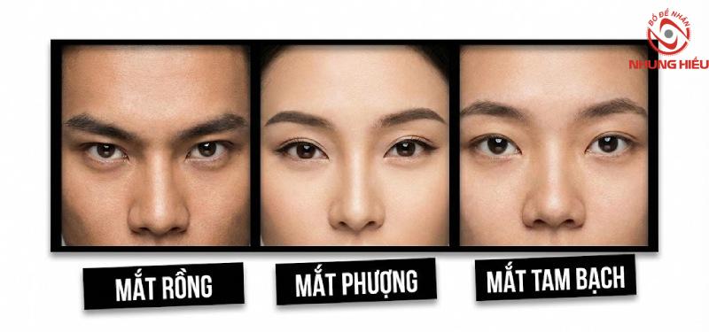 Phân biệt dáng mắt rồng