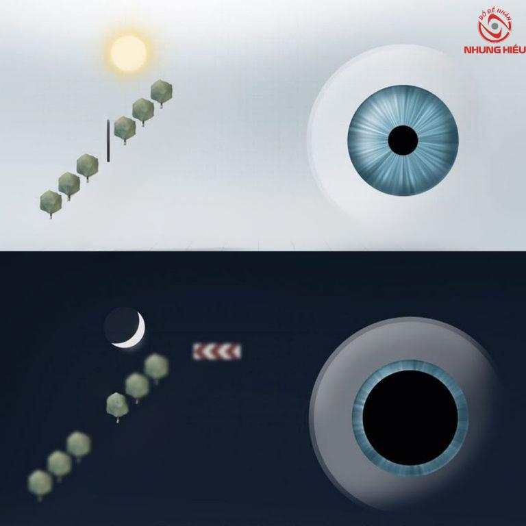 Tròng Kính ZEISS DriveSafe UV